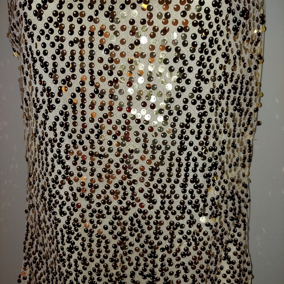 Sequined Sparkle Sheer Sleeveless Top - Picture 6 of 10